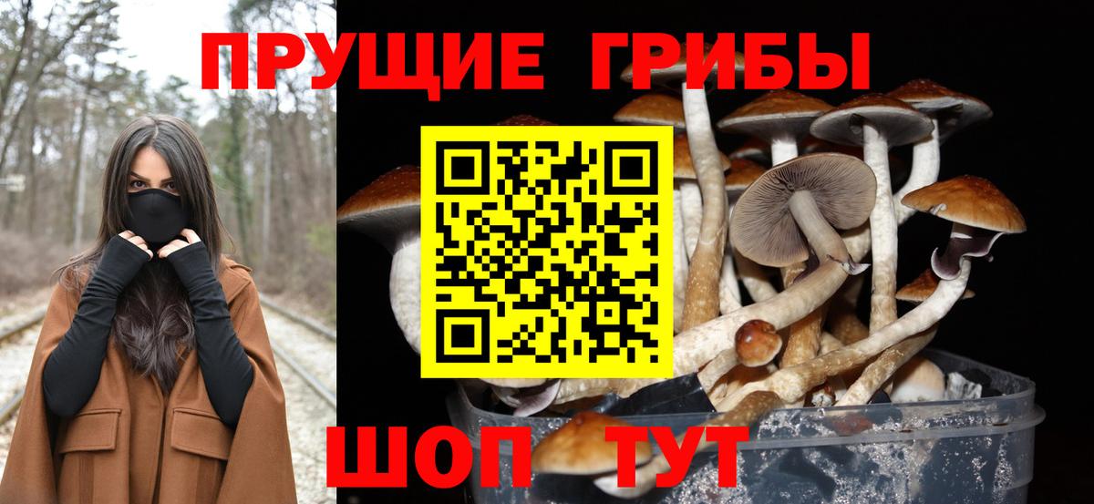 Псилоцибиновые грибы Cubensis  Вход с VPN  Лабытнанги 